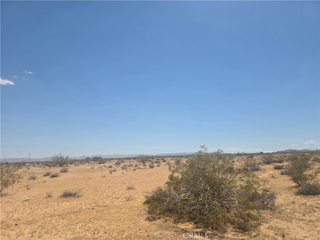 1 Venus Property Photo 1