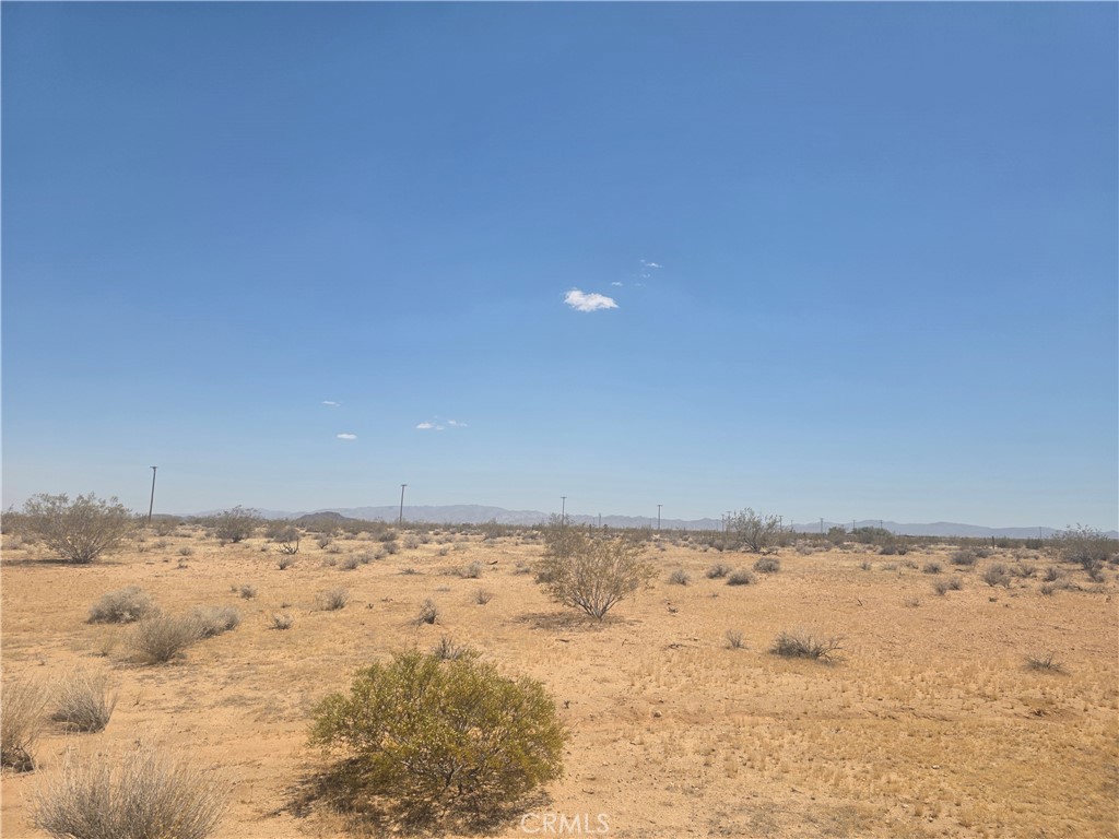 1 Venus Property Photo 4