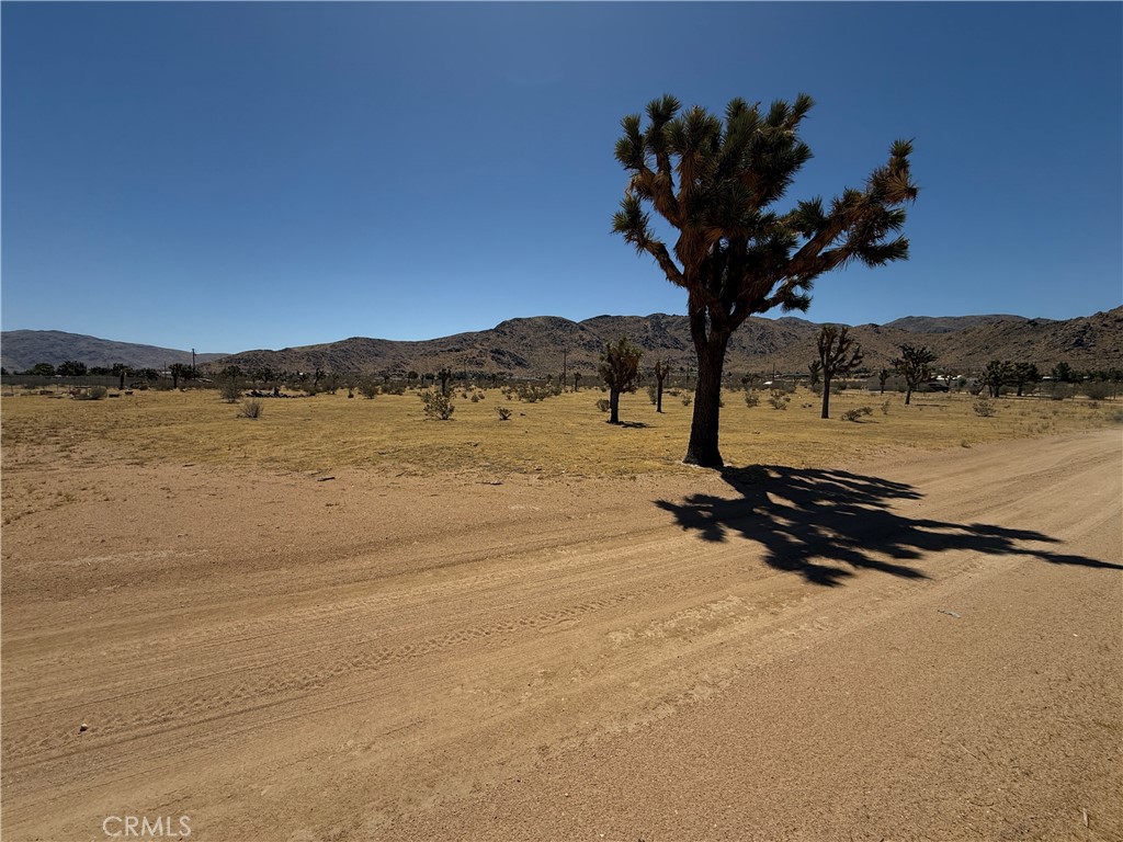 0 Thomas Property Photo 1