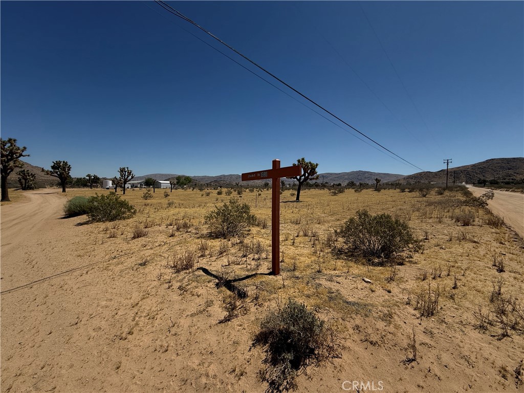 0 Thomas Property Photo 3