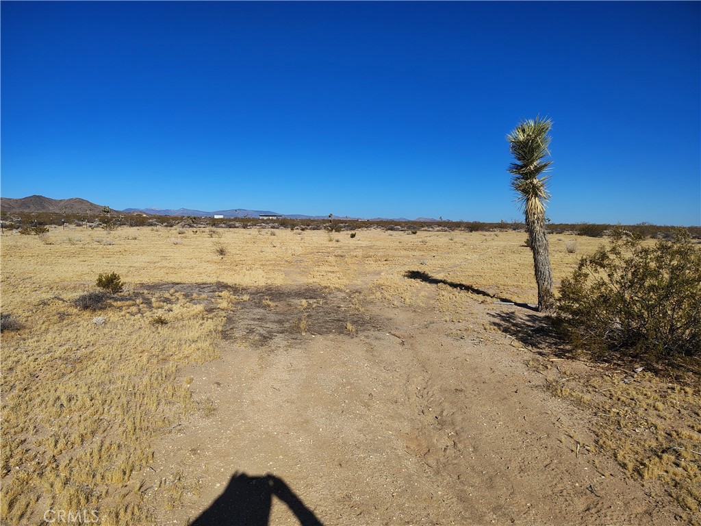 408 Stable Property Photo 2