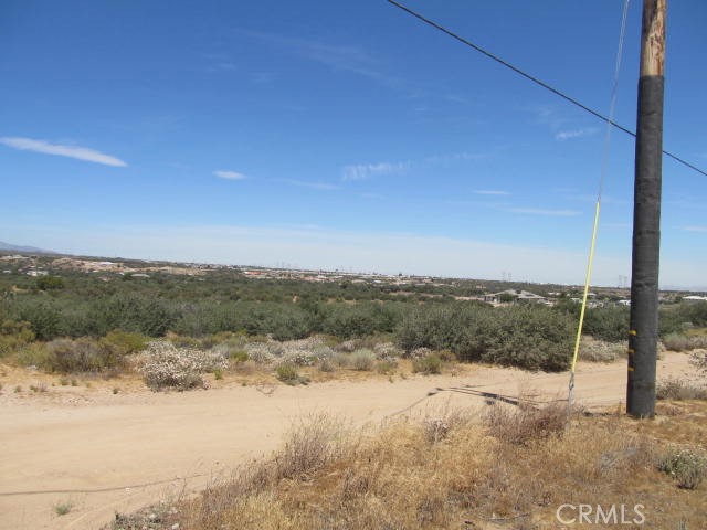 5955 Fremontia Property Photo 5