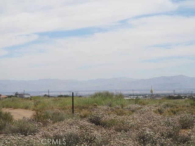 5955 Fremontia Property Photo 7
