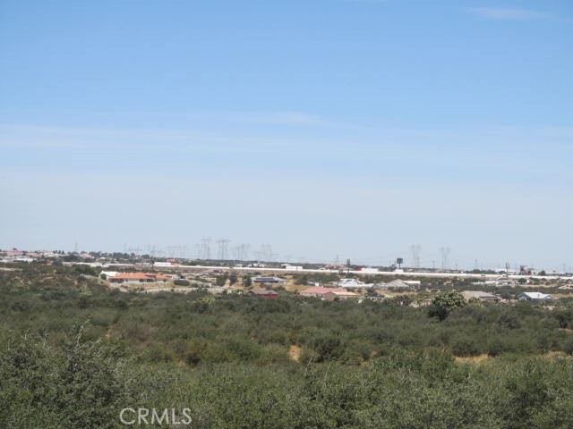 5955 Fremontia Property Photo 8