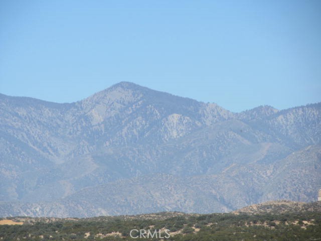 5955 Fremontia Property Photo 13