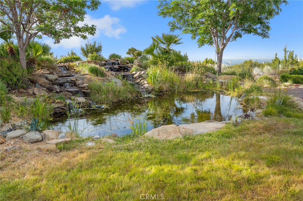 8334 Sky Line Property Photo 37