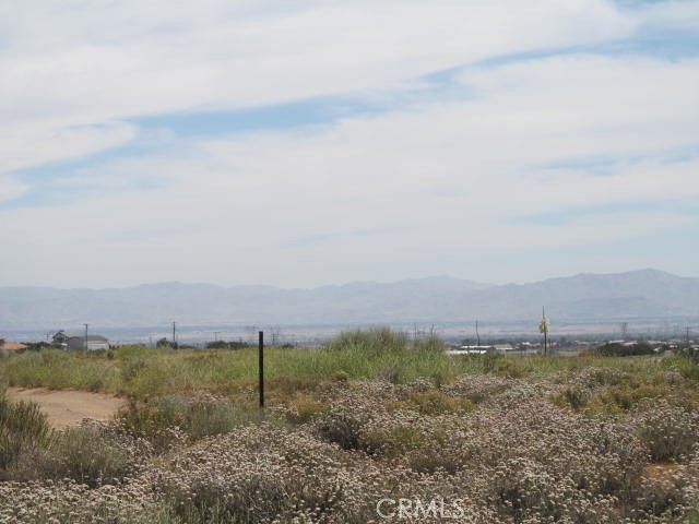 28 Fremontia Property Photo 7