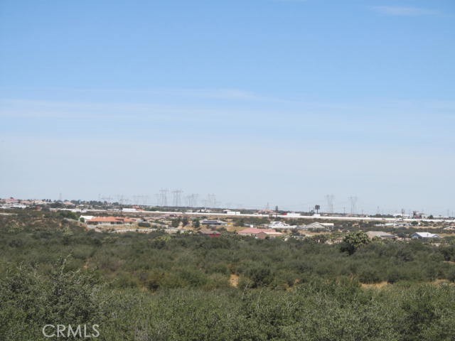 28 Fremontia Property Photo 8