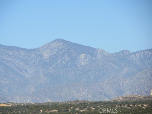 28 Fremontia Property Photo 13
