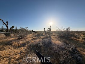 0 Mountain Rd, Property Photo 2