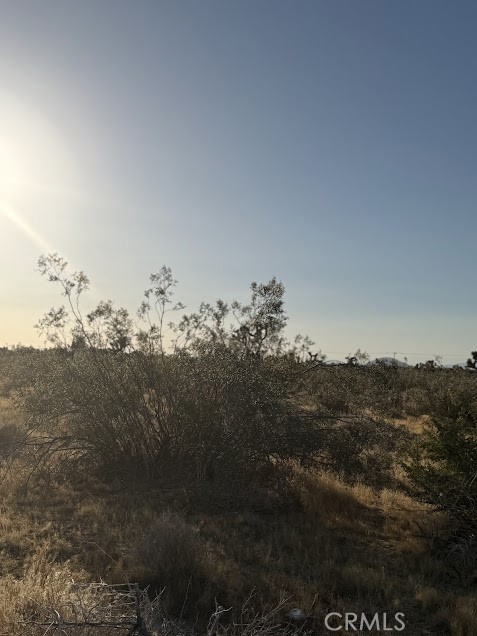 0 Mountain Rd, Property Photo 3
