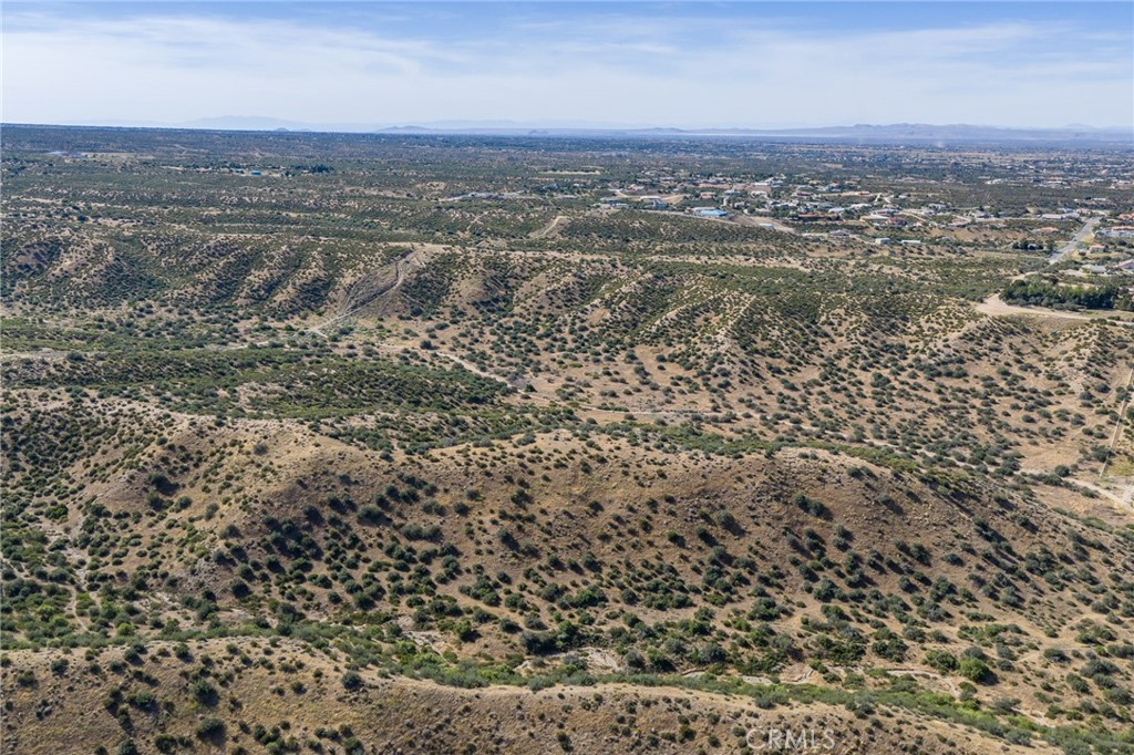 9785 Whitehaven Property Photo 14