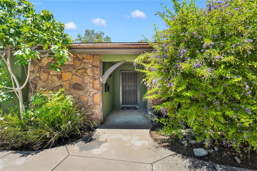 2425 San Fernando Court Property Photo 4