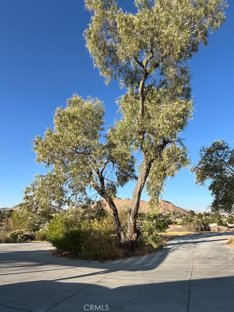 15492 Lenca Property Photo 2
