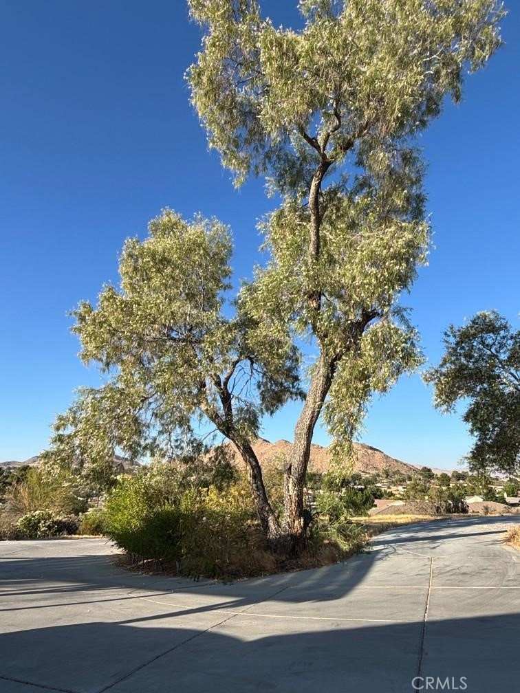 15492 Lenca Property Photo 3