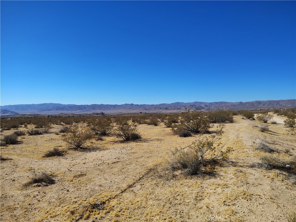 2681 Sunburst Avenue Property Photo 3