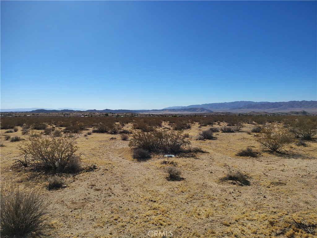 2681 Sunburst Avenue Property Photo 4