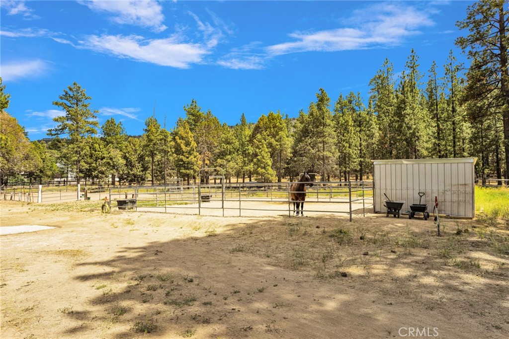 2660 State Property Photo 58