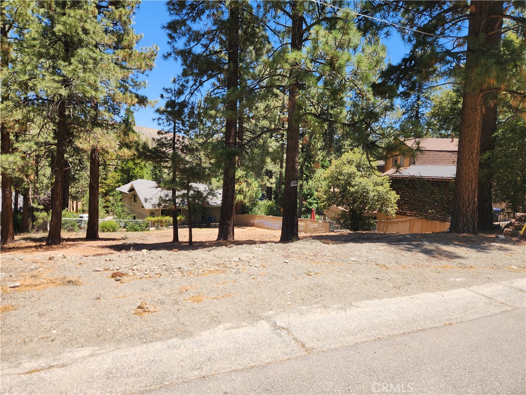 0 Timberline Drive Property Photo 1