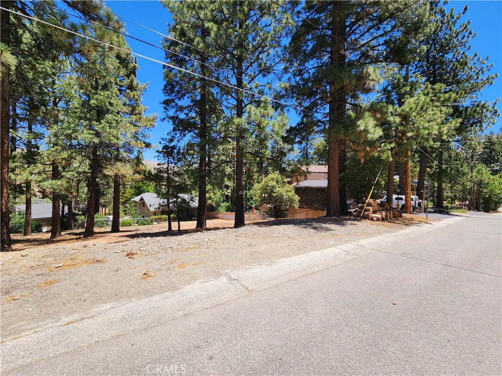 0 Timberline Drive Property Photo 2