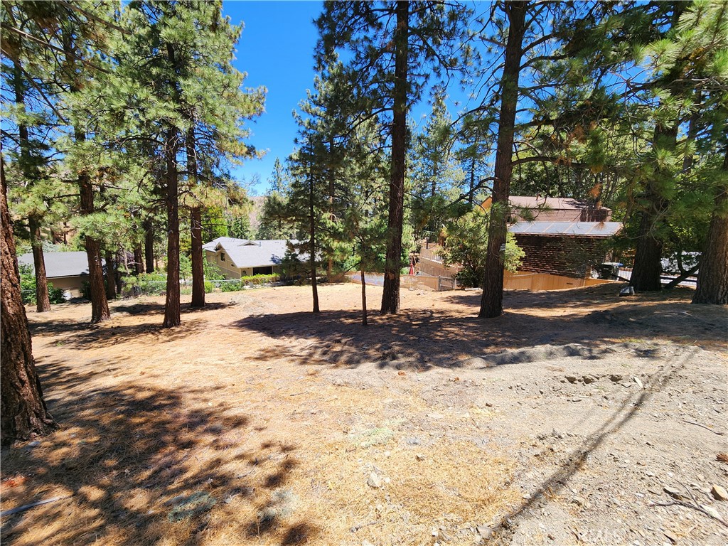 0 Timberline Drive Property Photo 3