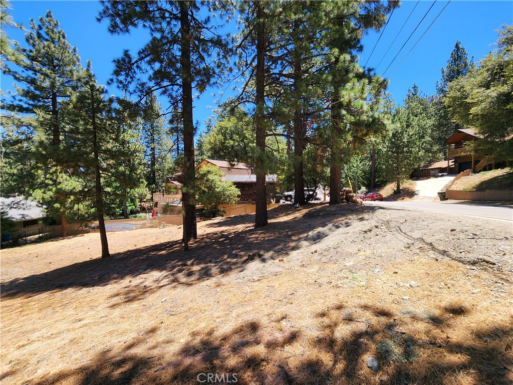 0 Timberline Drive Property Photo 4