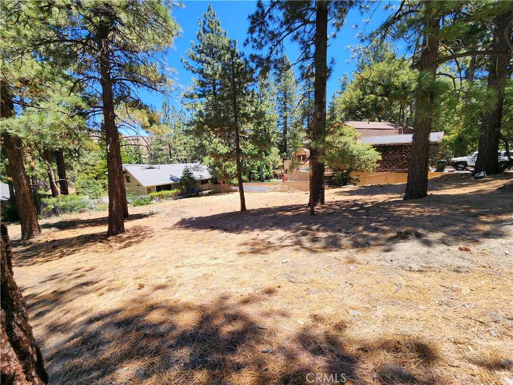 0 Timberline Drive Property Photo 5