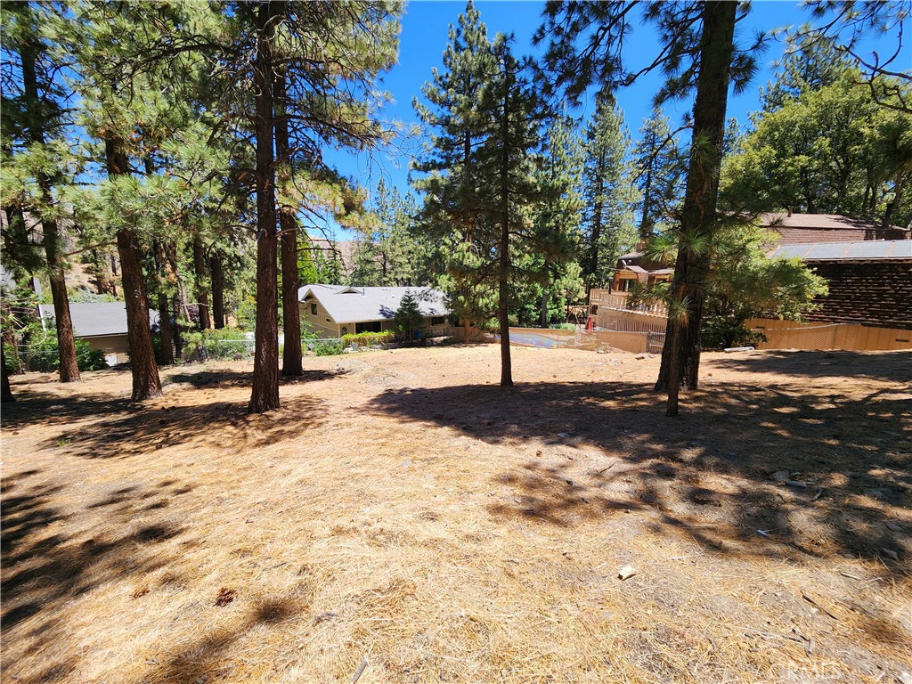 0 Timberline Drive Property Photo 6