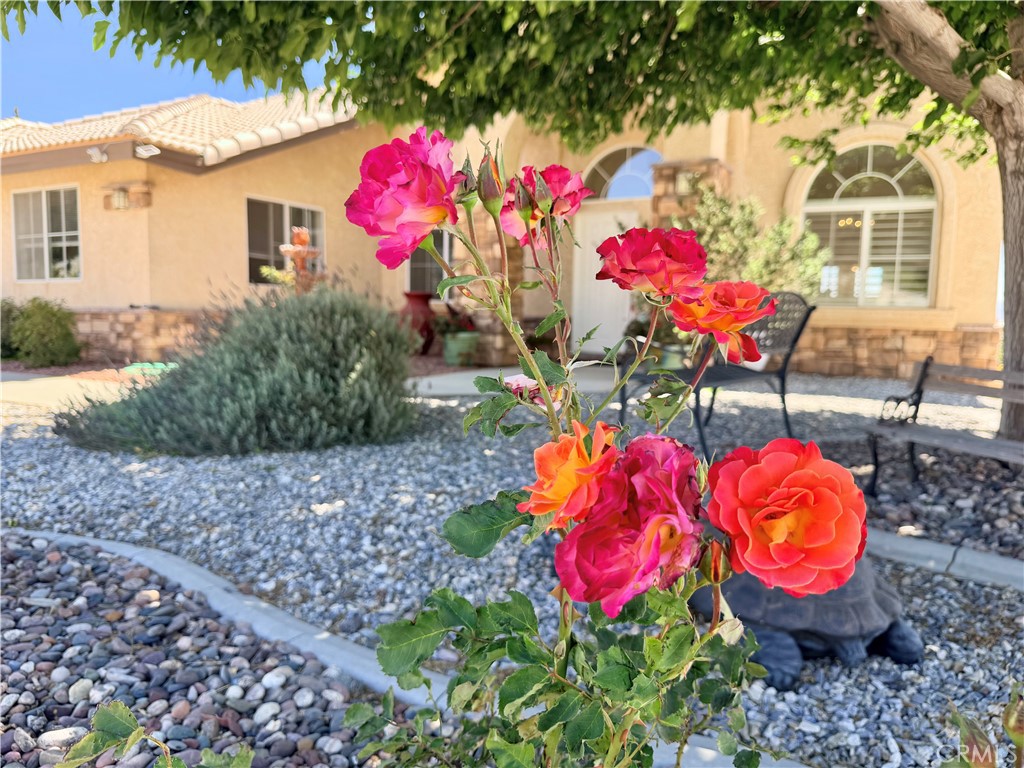 8535 Alta Mesa Road Property Photo 46