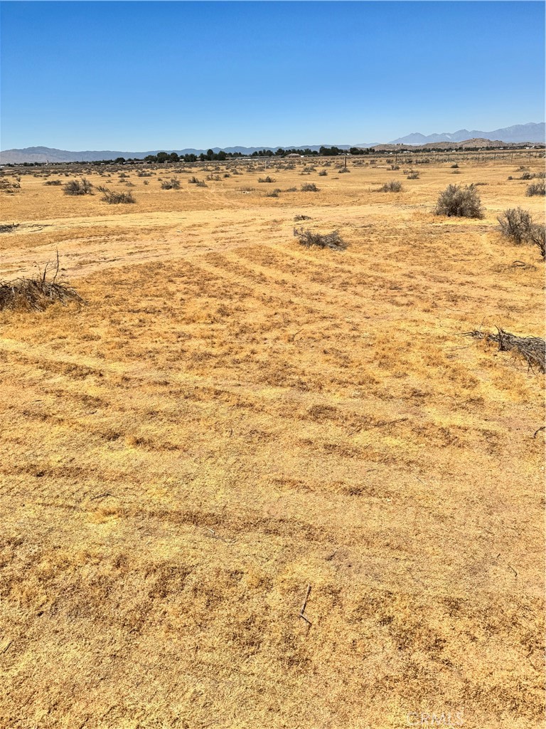 0 Nanticoke Road Property Photo 2