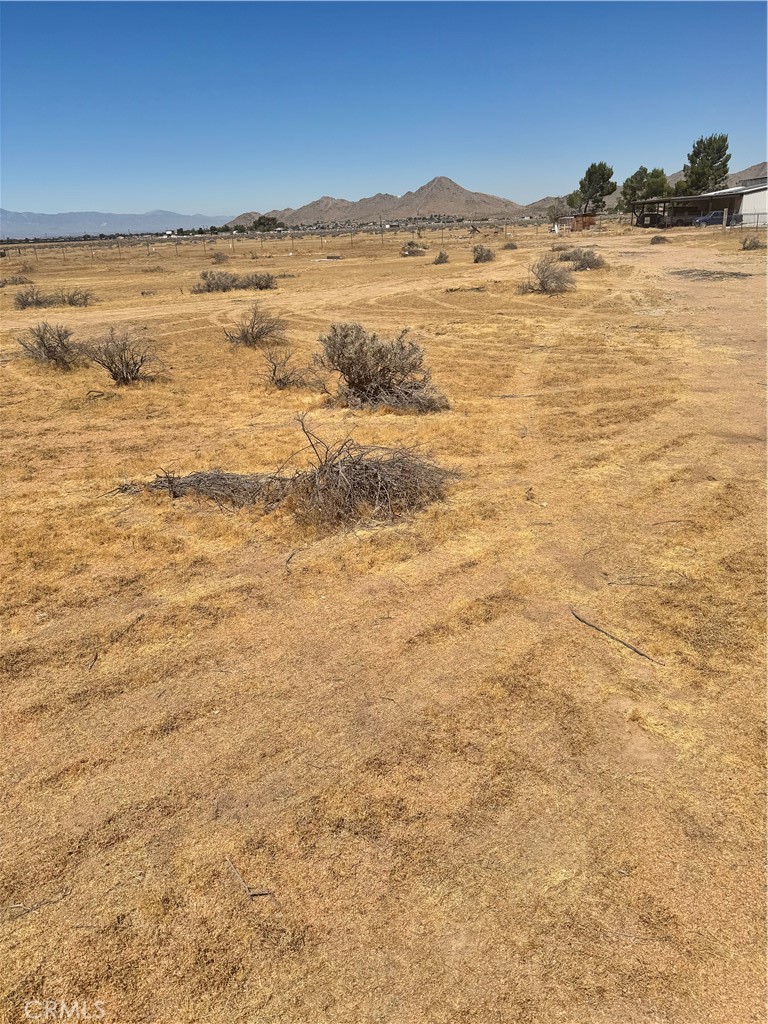 0 Nanticoke Road Property Photo 8