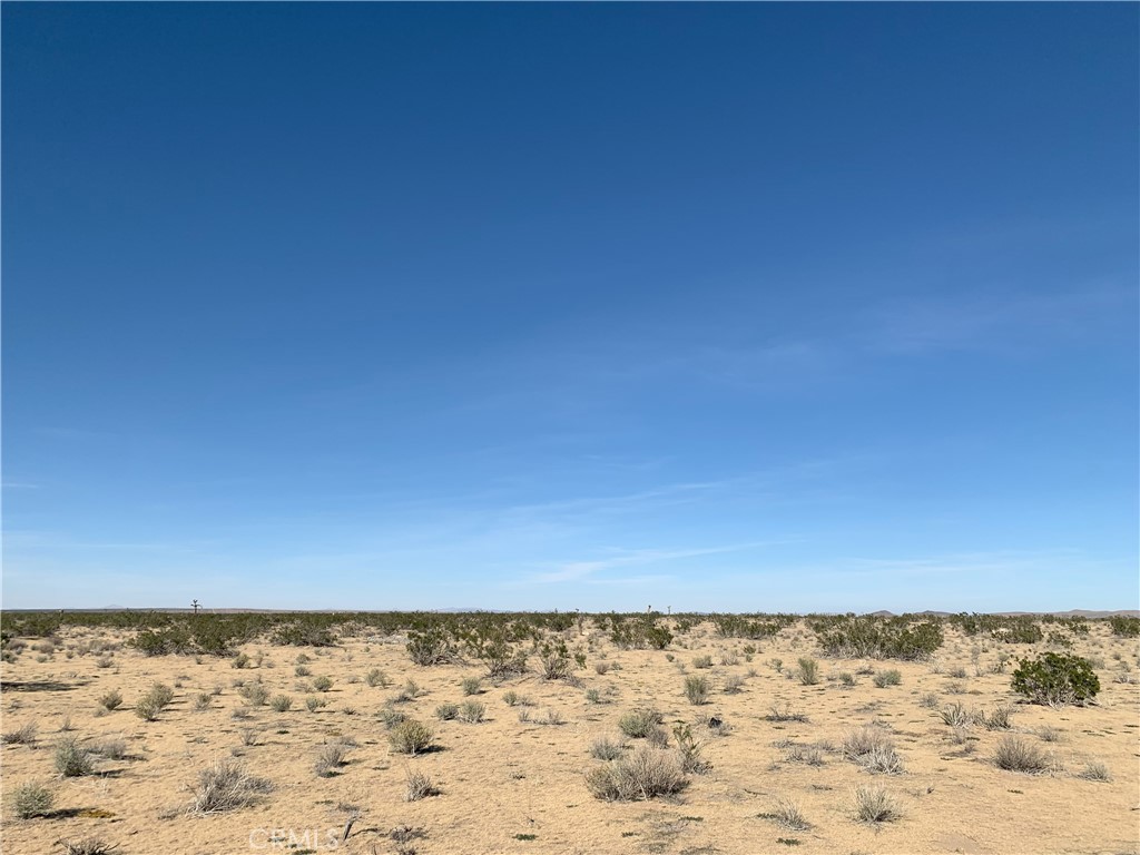 0 Oleander Street Property Photo 2