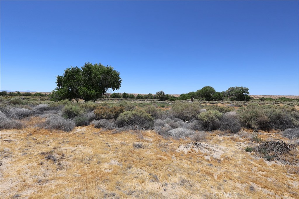 0 Bryman Road Property Photo 29