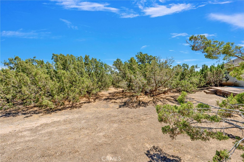 8172 Coyote Property Photo 39