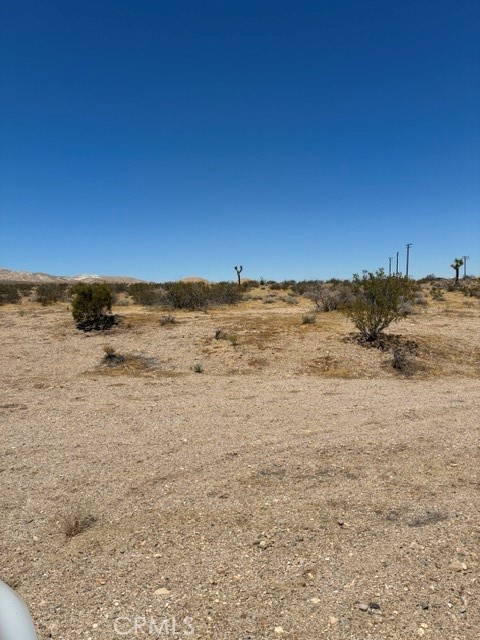 0 Lessing Property Photo 2