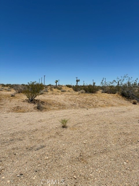 0 Lessing Property Photo 3