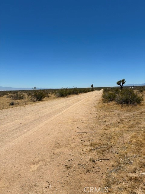 0 Lessing Property Photo 4
