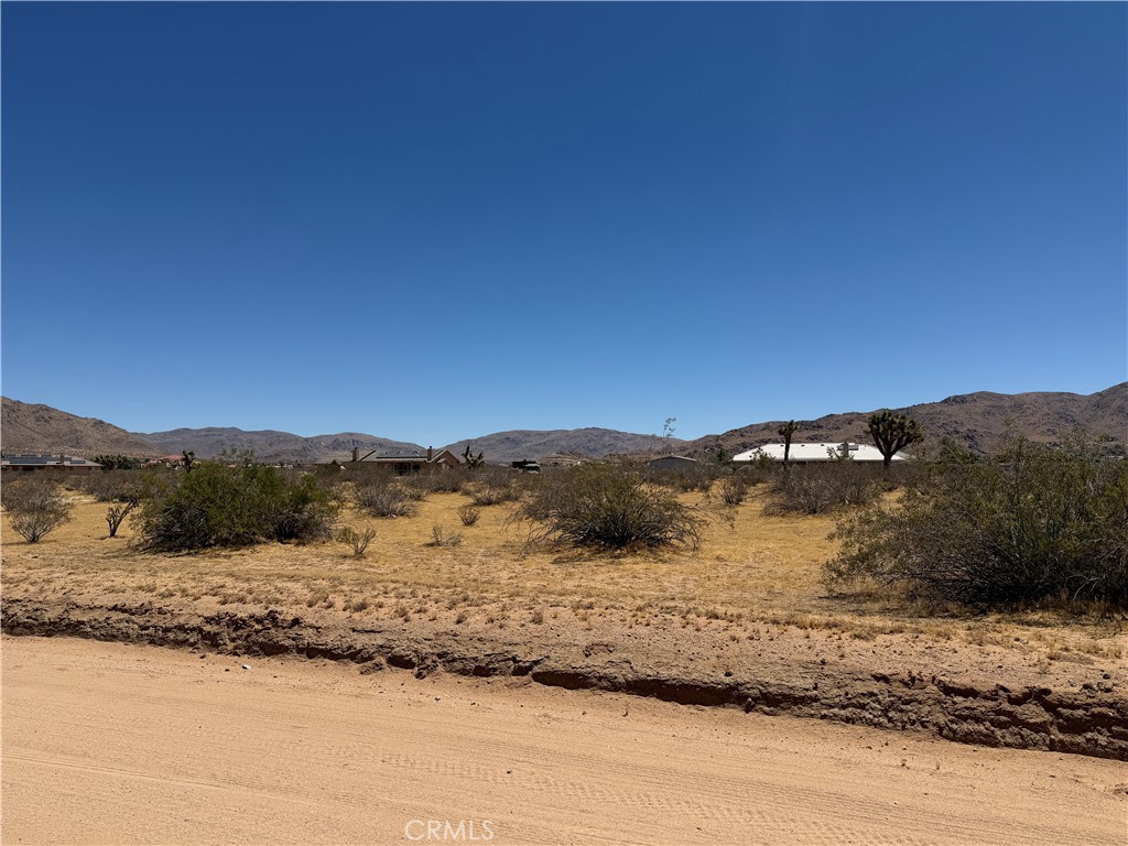 4362025 Rocky Point Property Photo 3