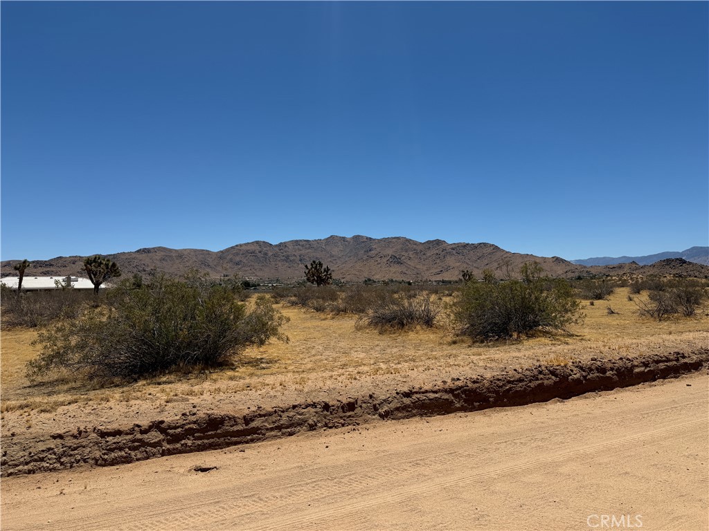 4362025 Rocky Point Property Photo 5