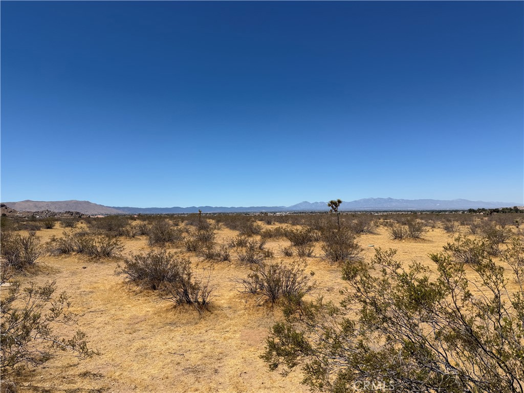 4362025 Rocky Point Property Photo 6