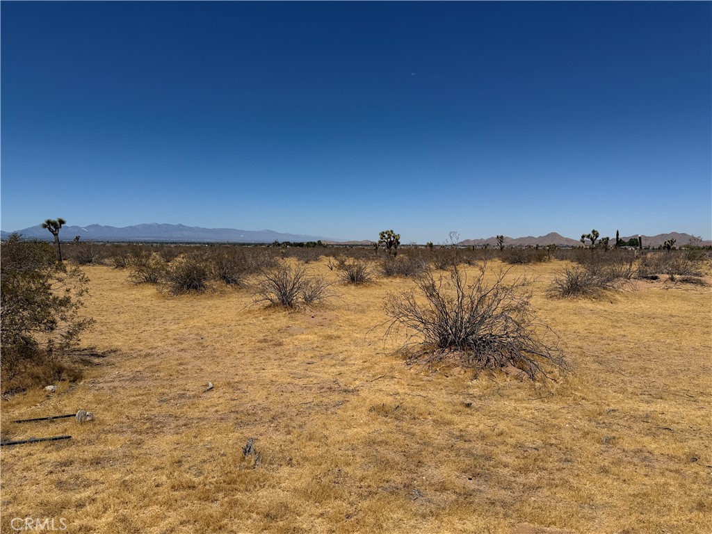 4362025 Rocky Point Property Photo 7