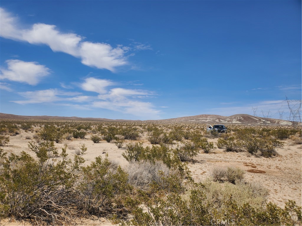 37211 Paradise Springs Property Photo 3
