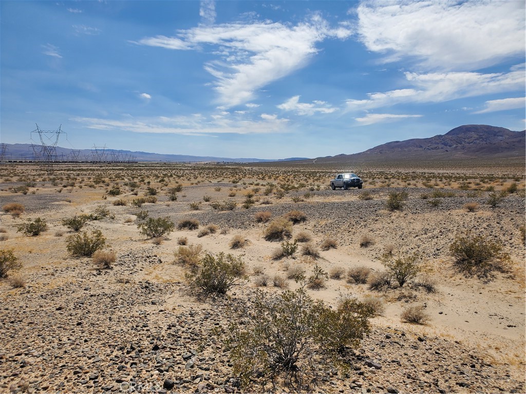 37211 Paradise Springs Property Photo 4