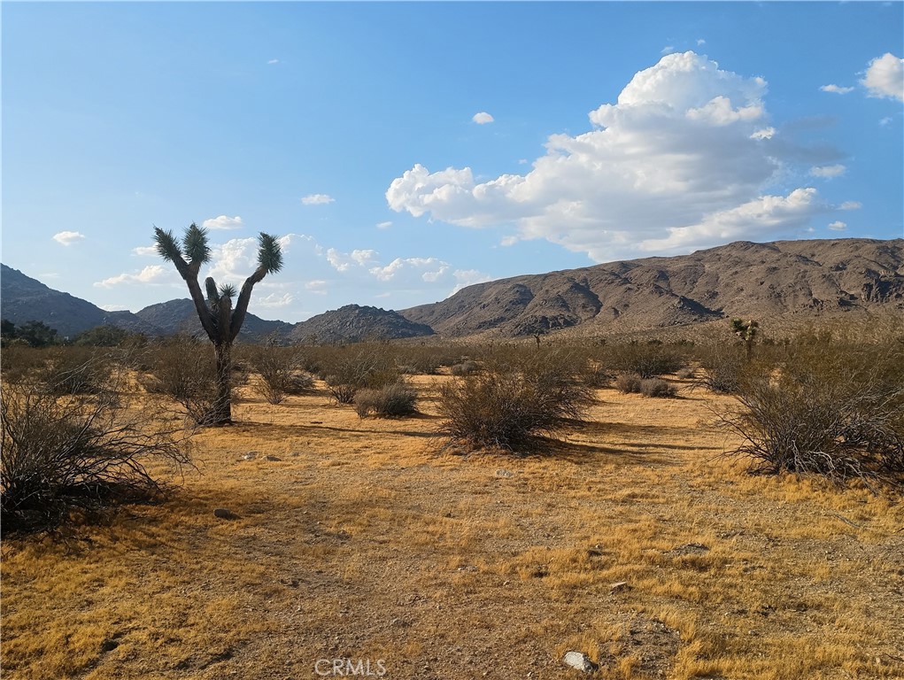 12963 Sunset Drive Property Photo 3