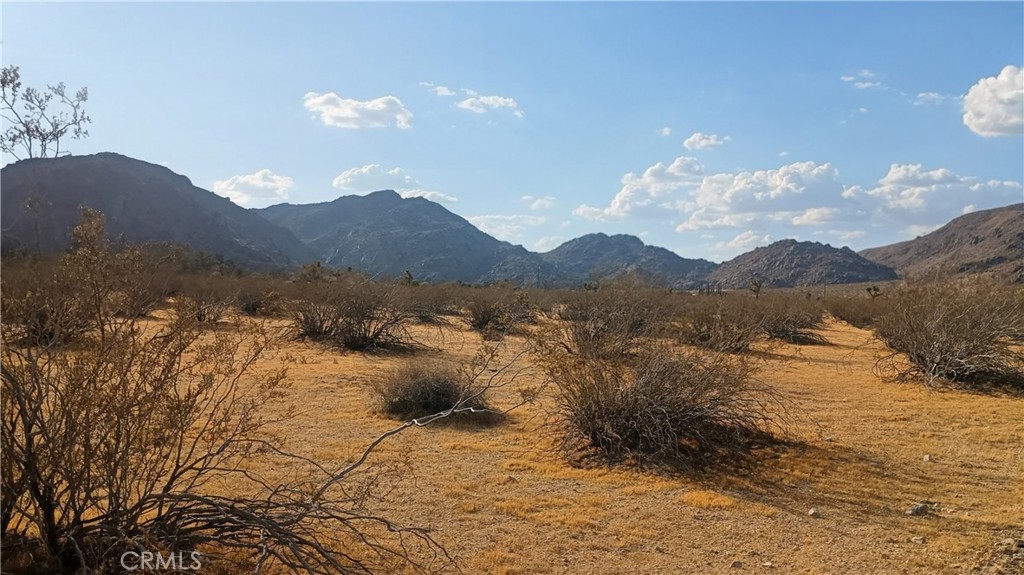 13089 Sunset Drive Property Photo 4