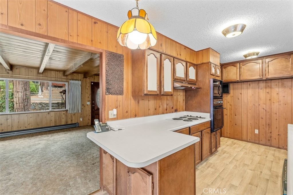 1056 Lark Property Photo 11