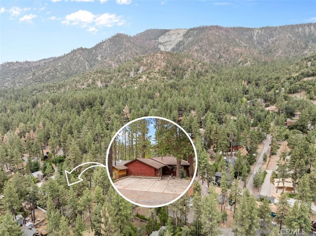 1056 Lark Property Photo 36
