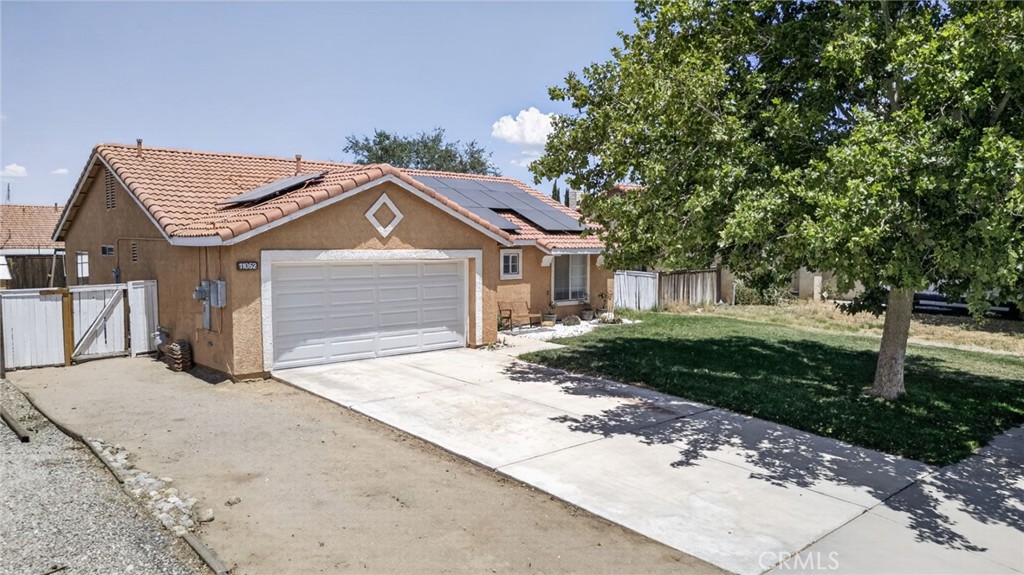 11052 Desert Rose Property Photo 8