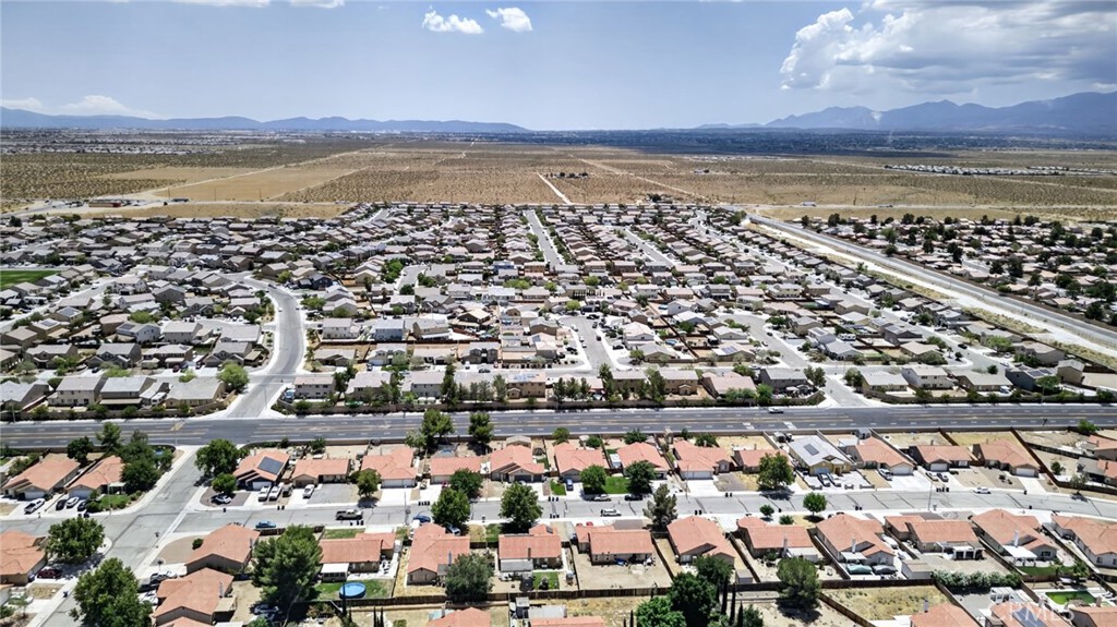 11052 Desert Rose Property Photo 40
