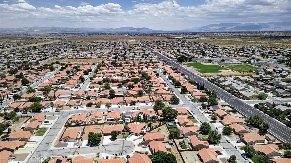 11052 Desert Rose Property Photo 42